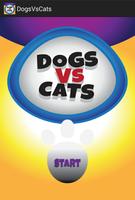 DogsVsCats Cartaz