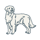 K9 Lodge GA APK