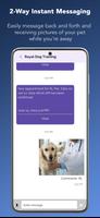 Royal Dog Training screenshot 3