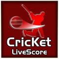 Watch live  cricket betting tips