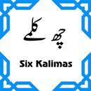 6 Kalimas Arabic,Urdu and English with Recitation APK