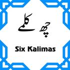 6 Kalimas Arabic,Urdu and English with Recitation icône