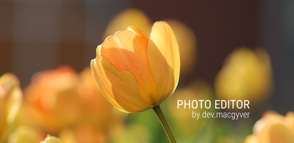 How to Download Photo Editor APK Latest Version 10.9.1 for Android 2025 image