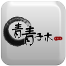 Qvision APK