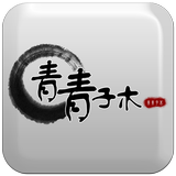 Qvision Zeichen