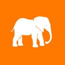 Ivoireco APK