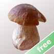 Myco gratis - Guida ai Funghi