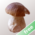 Myco free - Mushroom Guide