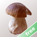 Myco gr. Guide des Champignons APK