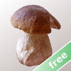 Myco gr. Guide des Champignons icône