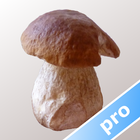ikon Myco pro - Mushroom Guide