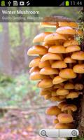 Myco pro - Mushroom Guide স্ক্রিনশট 2