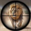 ”Lion Hunting Games 2023: FPS