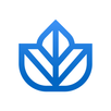 Ivy.co APK