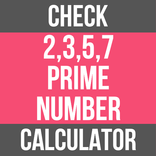 Check Prime Number Calculator