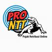 PRO NTT icon