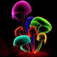 Best 3D Wallpapers screenshot 1