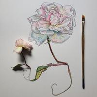 من السهل رسم الزهور تصوير الشاشة 2