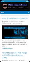 Monitorsunderbudget.com Guide poster