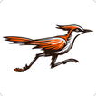 LinkBird