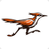 LinkBird APK