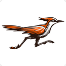 APK LinkBird