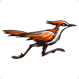 LinkBird