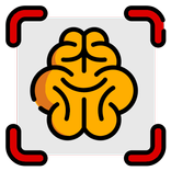 STROKE-ER Rapid Evaluation Too