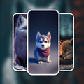 Wallpaper Cute Wolf