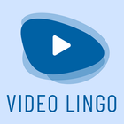 Video Lingo icône