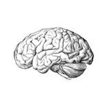 Grand Jeux Challenge