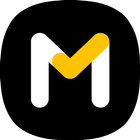 Motorist-icoon