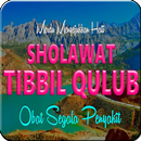 APK Sholawat Tibbil Qulub