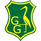 Groen-Geel IZZIGOLF icon