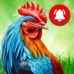 Animal Sounds Ringtones icon