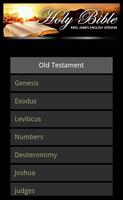 Bible in Zulu and KJV english screenshot 2