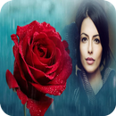 Rose Photo Frames APK