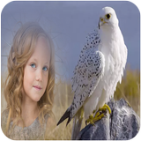 Birds Photo Frames أيقونة