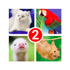 Guess the word 2! ~ 4 Pictures icono