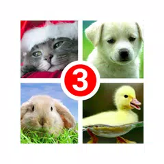 Guess the word 3! ~ 4 Pictures アプリダウンロード