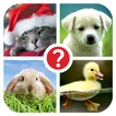 Guess the word ~ 4 Pics 1 Word