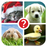 Guess the word ~ 4 Pics 1 Word icône