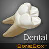 BoneBox™ - Dental Lite-icoon