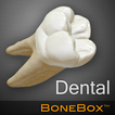 ”BoneBox™ - Dental Lite