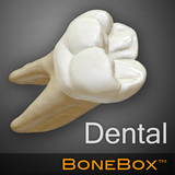 BoneBox™ - Dental Lite 아이콘