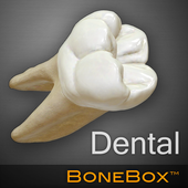 BoneBox™ - Dental Lite 圖標