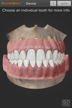 BoneBox™ - Dental Lite 海报