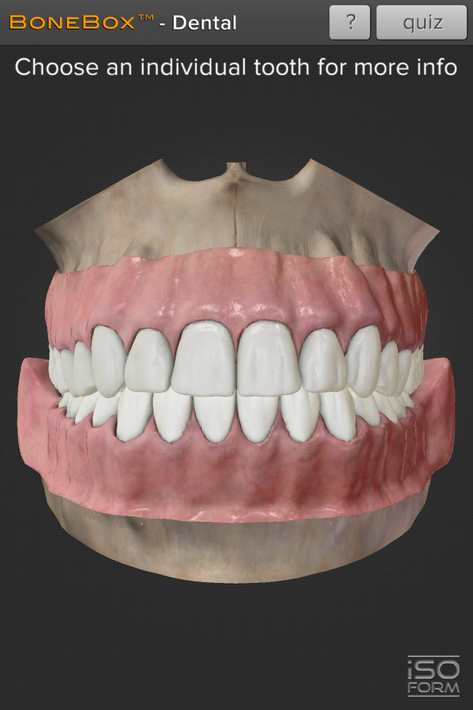 BoneBox™ - Dental Lite poster