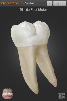 BoneBox™ - Dental Lite 截图 2