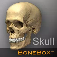 Скачать BoneBox™ - Skull Viewer APK